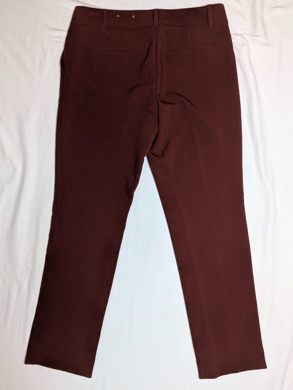 Ann Taylor Factory Women's Burnt Orange Dress Pants, Size 4